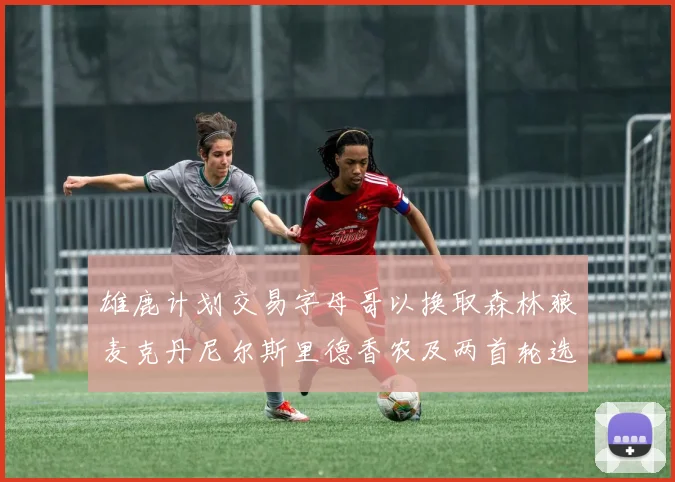 雄鹿计划交易字母哥以换取森林狼麦克丹尼尔斯里德香农及两首轮选秀权